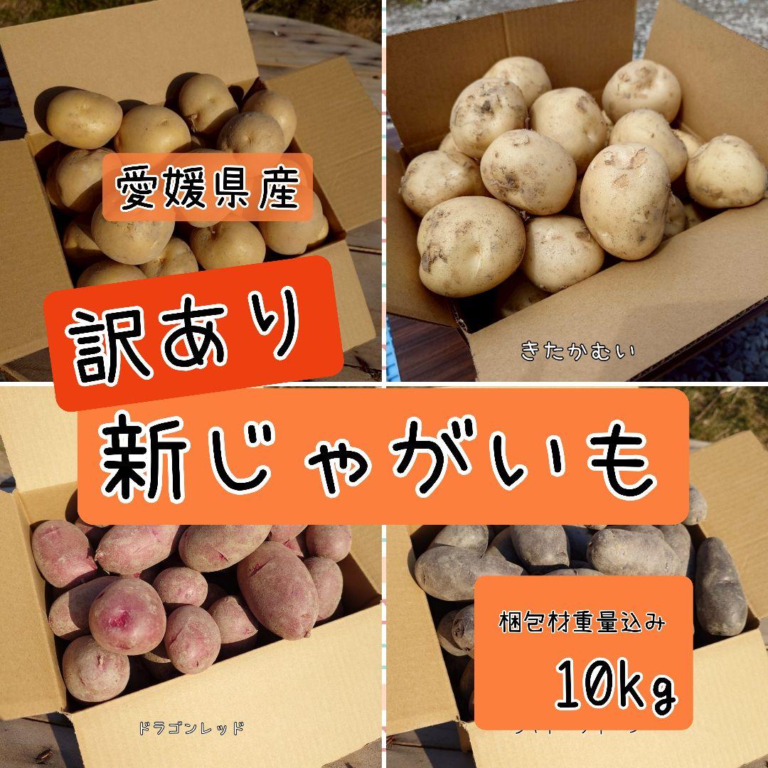 訳あり新じゃがいも　愛媛県産　10kg 詰め合わせ