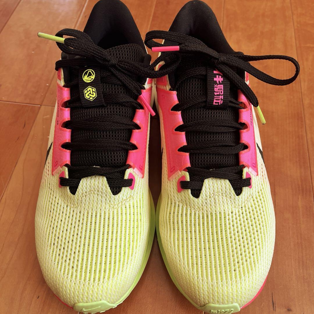 【美品】　ナイキエアズームペガサス40プレミアムEKIDEN25.5㎝