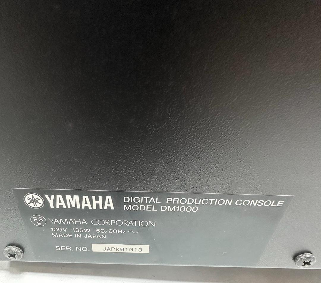 DM1000