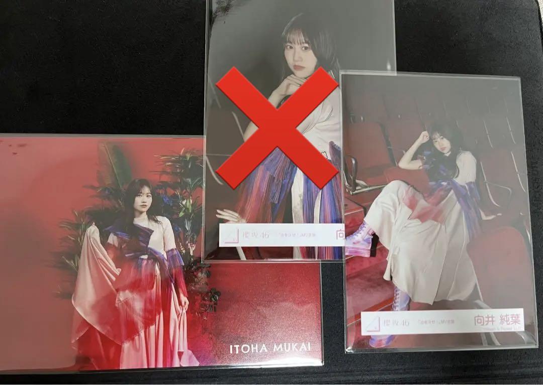 櫻坂46 向井純葉 ポストカード BACKS LIVE!! 生写真 油を注せ! 画像1