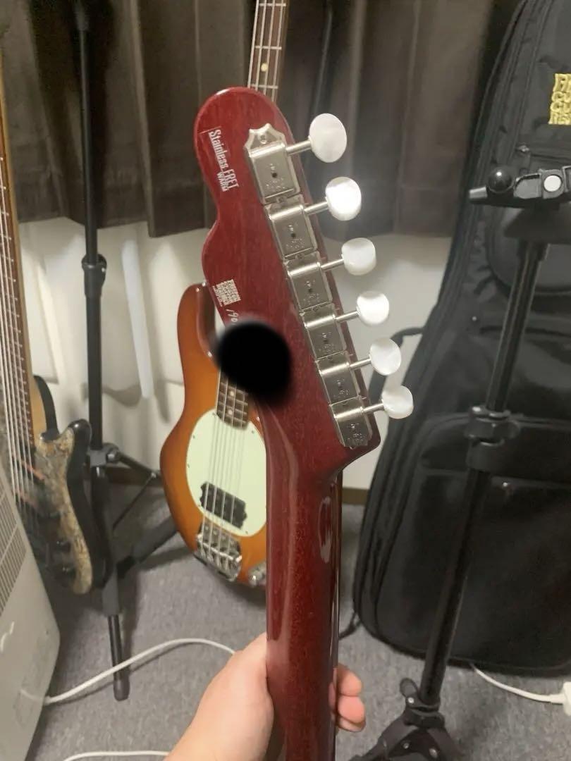 freedom custom guitar research レッドペッパー