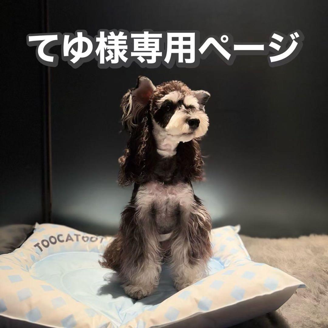 てゆページ