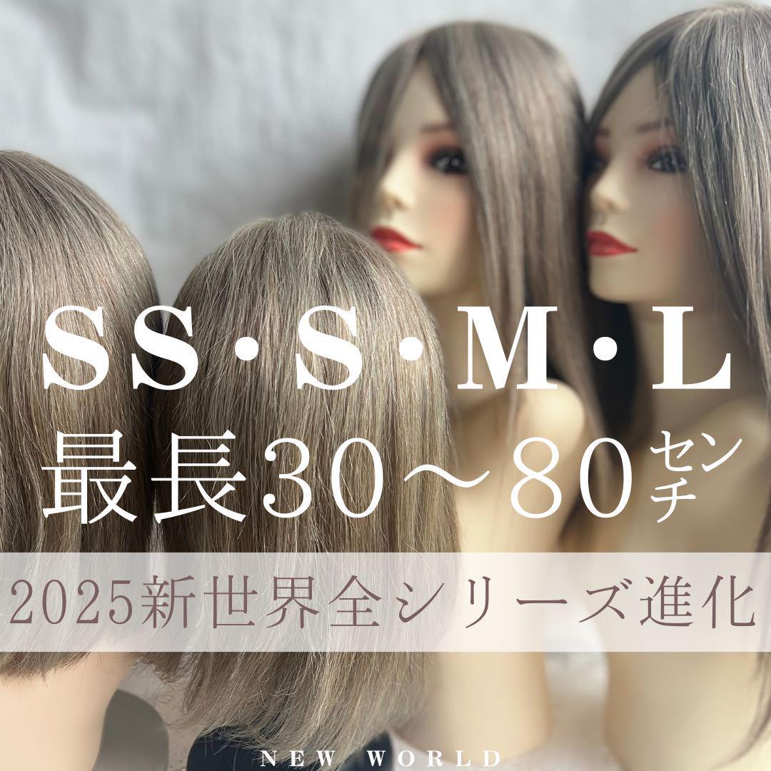 ★プレミアシリーズ★最新入荷新世界ヘアピース★14*15総手植45～47cm