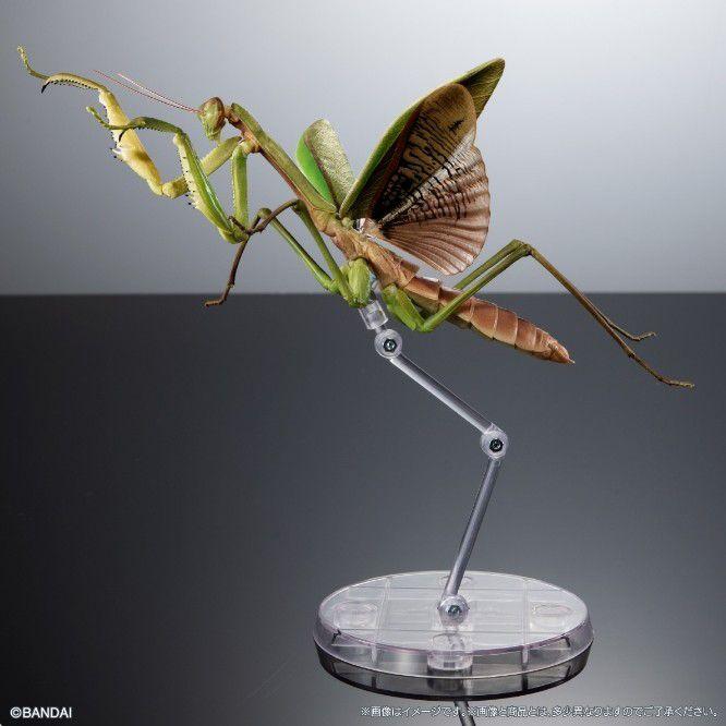 いきもの大図鑑アドバンス オオカマキリとショウリョウバッタ