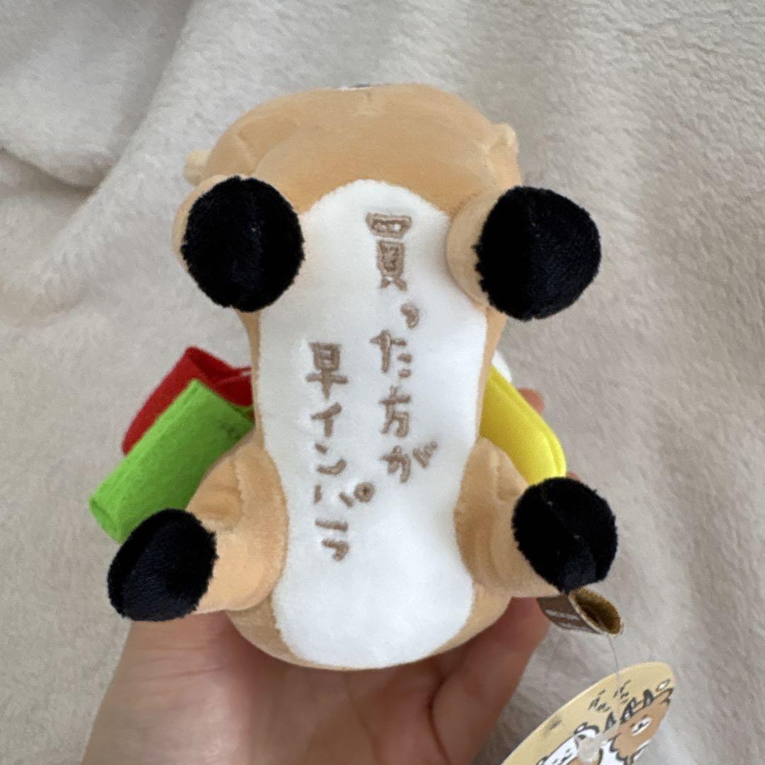 【お得なセット★最終お値下げ】ナガノ　買った方が早インパラ