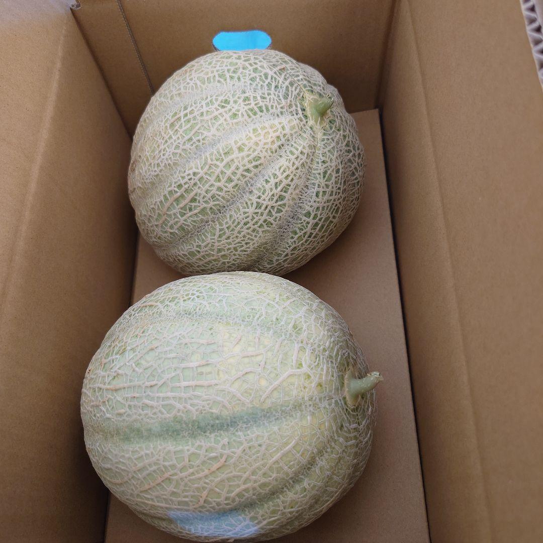 ③長崎産 (訳あり)赤肉マルセイユメロン - メルカリ