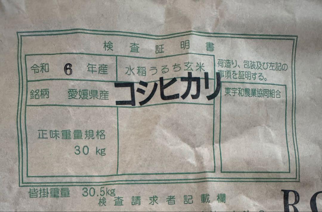 愛媛県産 令和6年度コシヒカリ 10kg 精米
