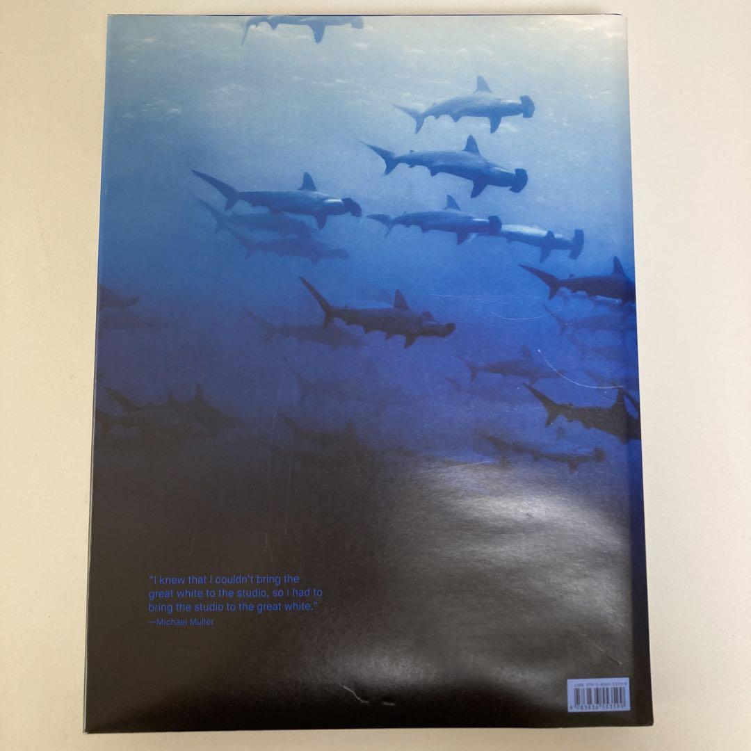 Michael Muller SHARKS TASCHEN 大型本