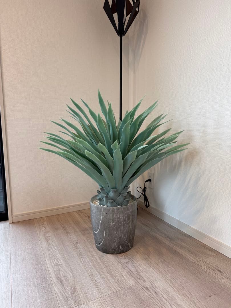 Francfranc インテリア フェイクグリーン アガベ YUZUMIYA_COM