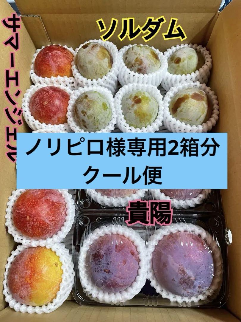 ノリピロ2箱分クール便 貴陽・ソルダム・サマーエンジェル すもも3種