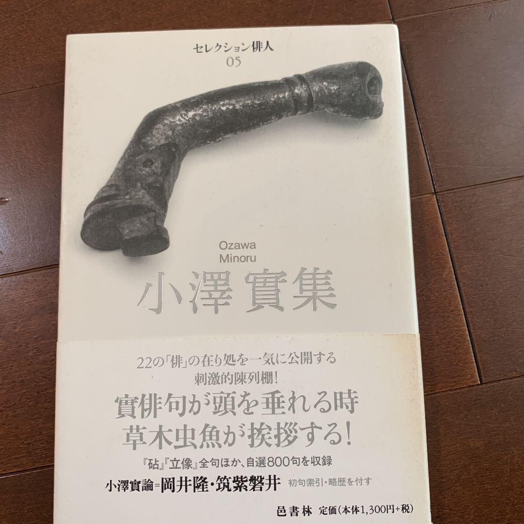 小澤實集 (セレクション俳人―沢俳句叢書 (05))