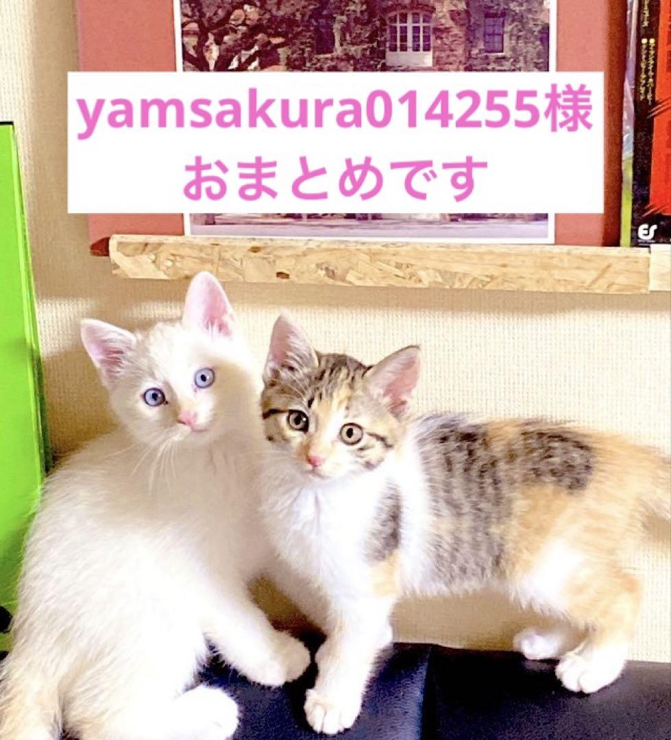yamsakura014255様 リクエスト 10点 まとめ商品