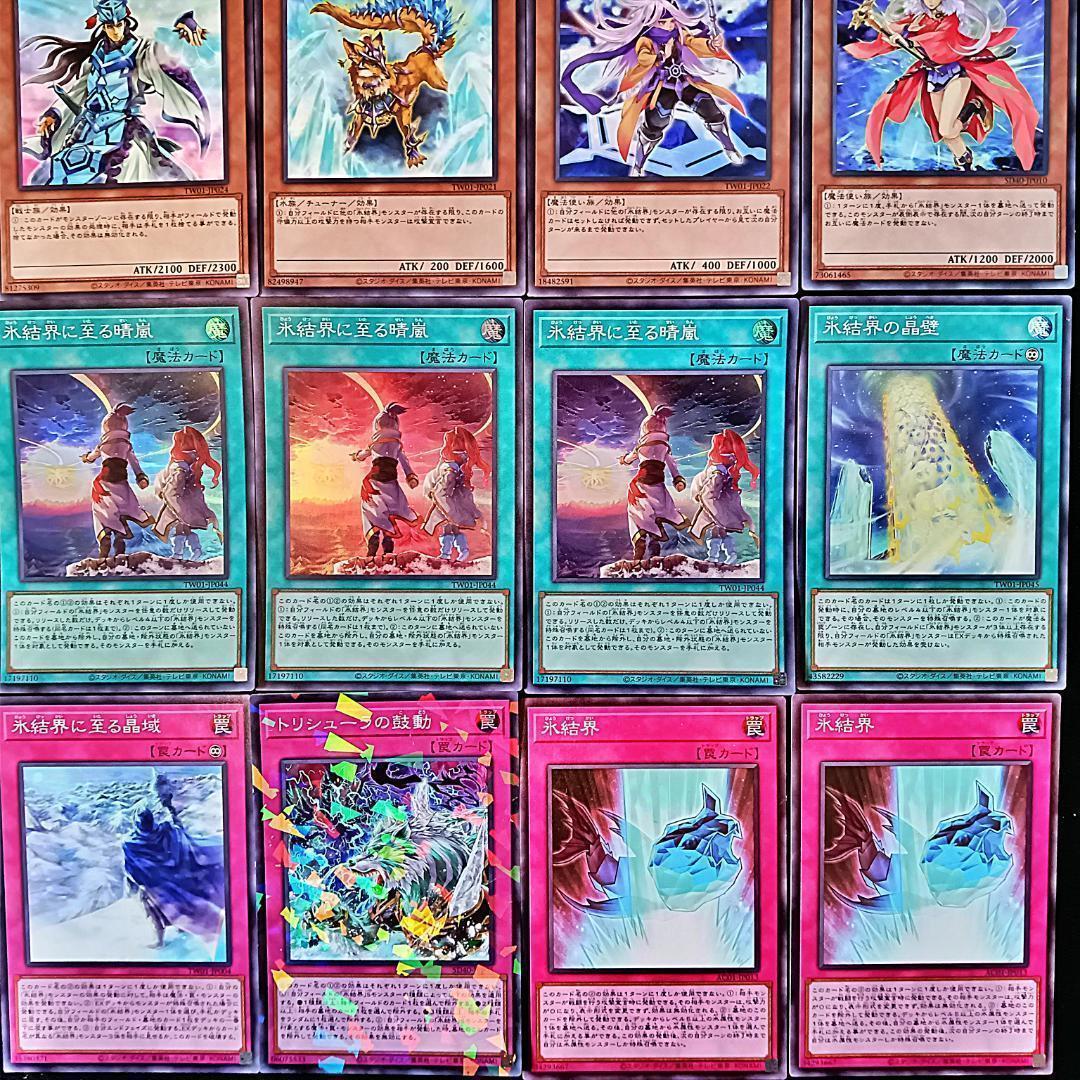 No.204 氷結界 デッキ 遊戯王 本格構築済みデッキ おまけパーツ
