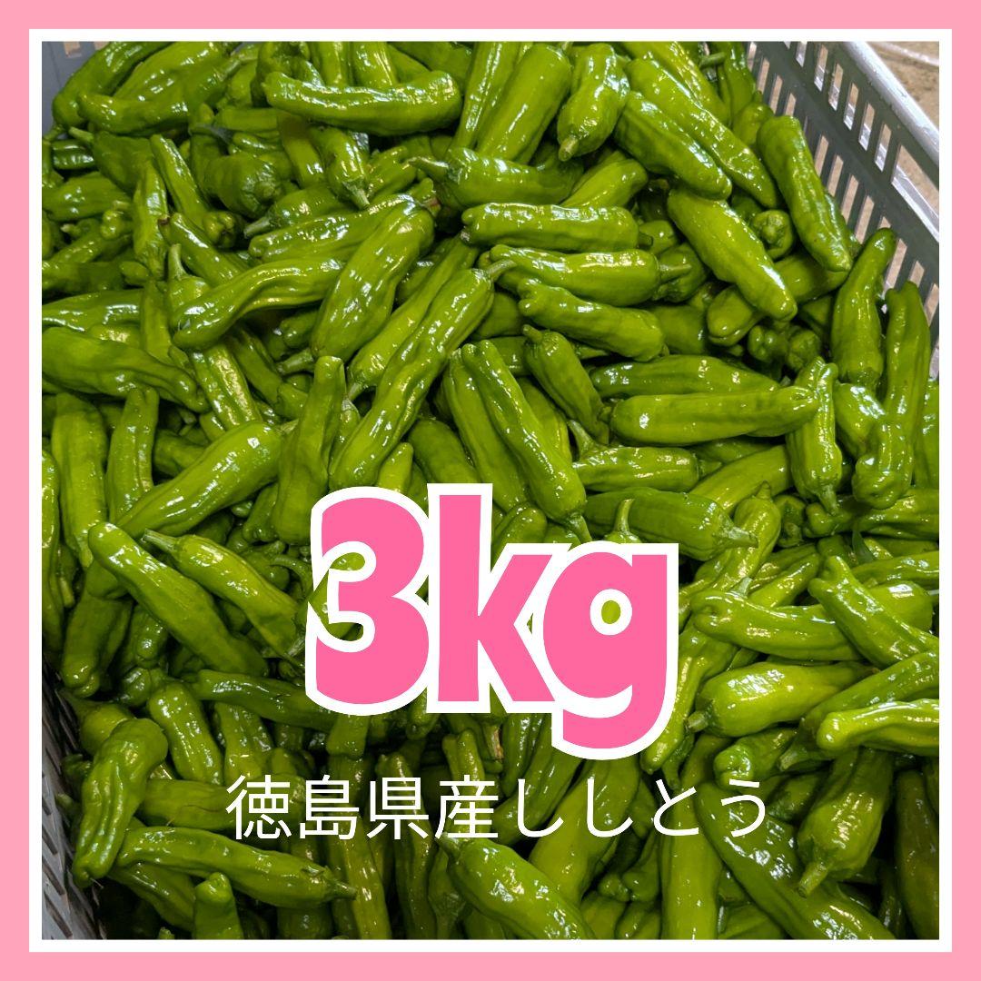 ししとう3キロ