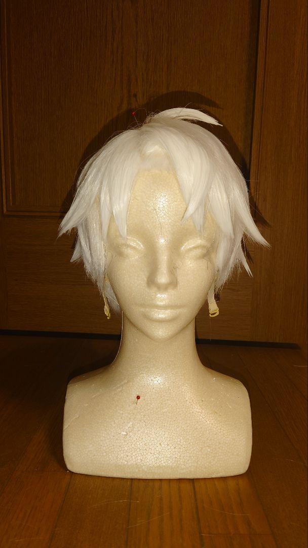 鬼太郎誕生 ゲゲゲの謎 水木 コスプレ ウィッグ 白 2