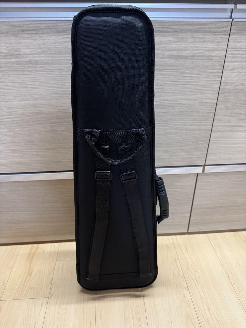 【美品】ハルシュタット バイオリン V-12 4/4サイズ 大人用 初心者