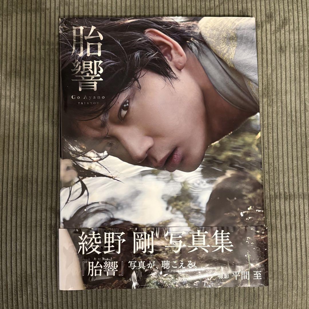 綾野剛 写真集 「胎響」 - メルカリ