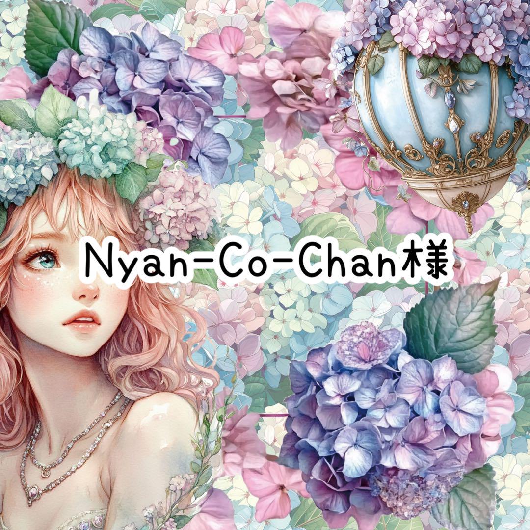 Nyan-Co-Chan様♡ありがとうございます♡
