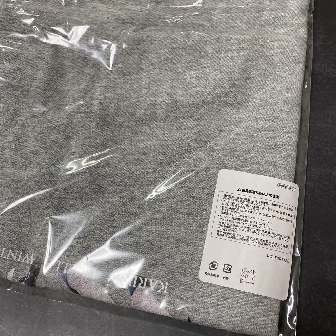 aespa 東京ドーム Tシャツ Mサイズ グレー 200名限定 当選 aespa 東京ドーム Tシャツ Mサイズ グレー 200名限定 当選