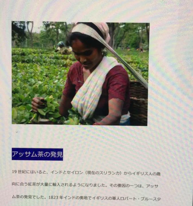 ディプロマ同梱 東洋医学健康指導師 認定講師養成講座