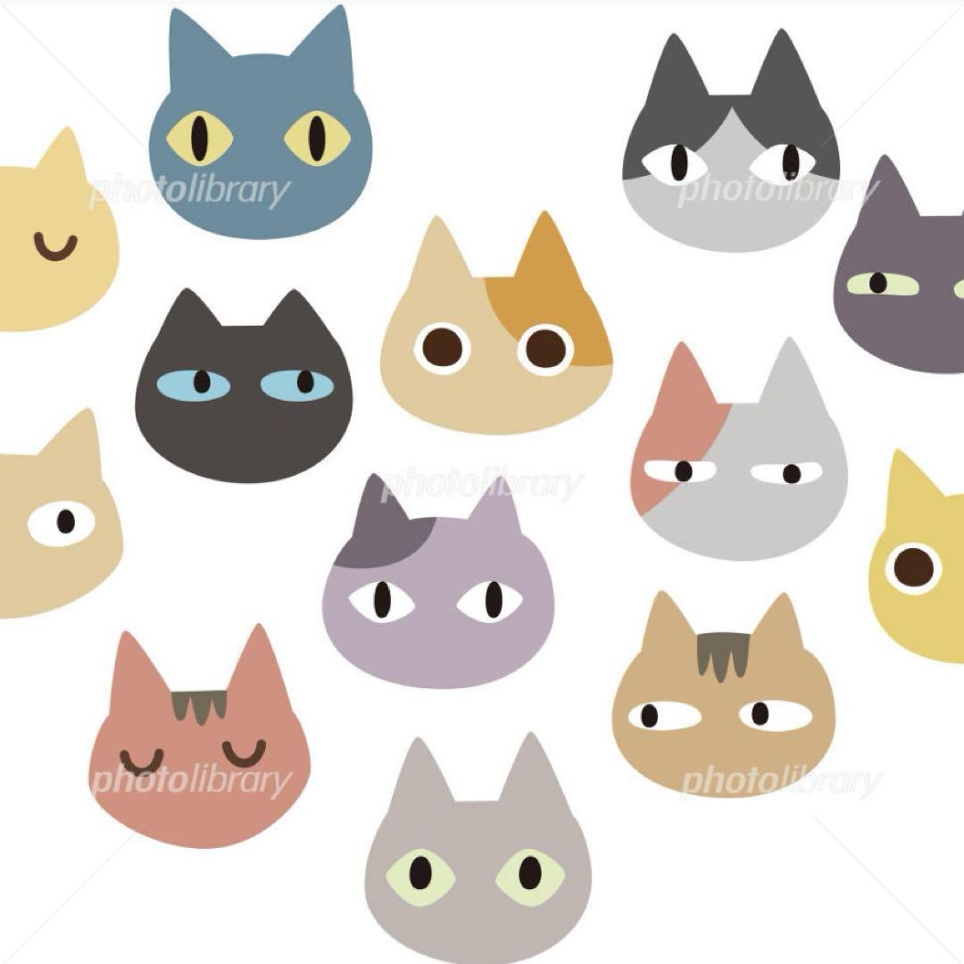 ゆきちゃん様専用　(=^x^=)(=^x^=)(=^x^=)