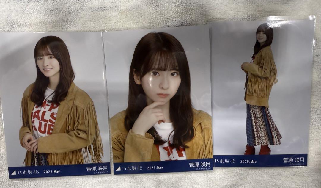 乃木坂46 生写真 コンプ ボヘミアン 菅原咲月