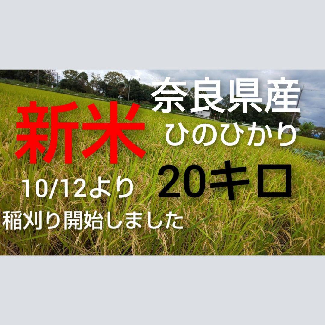 100%正規品 白米 (20キロ)新米 奈良県産 令和3年度 ひのひかり 大和 ...