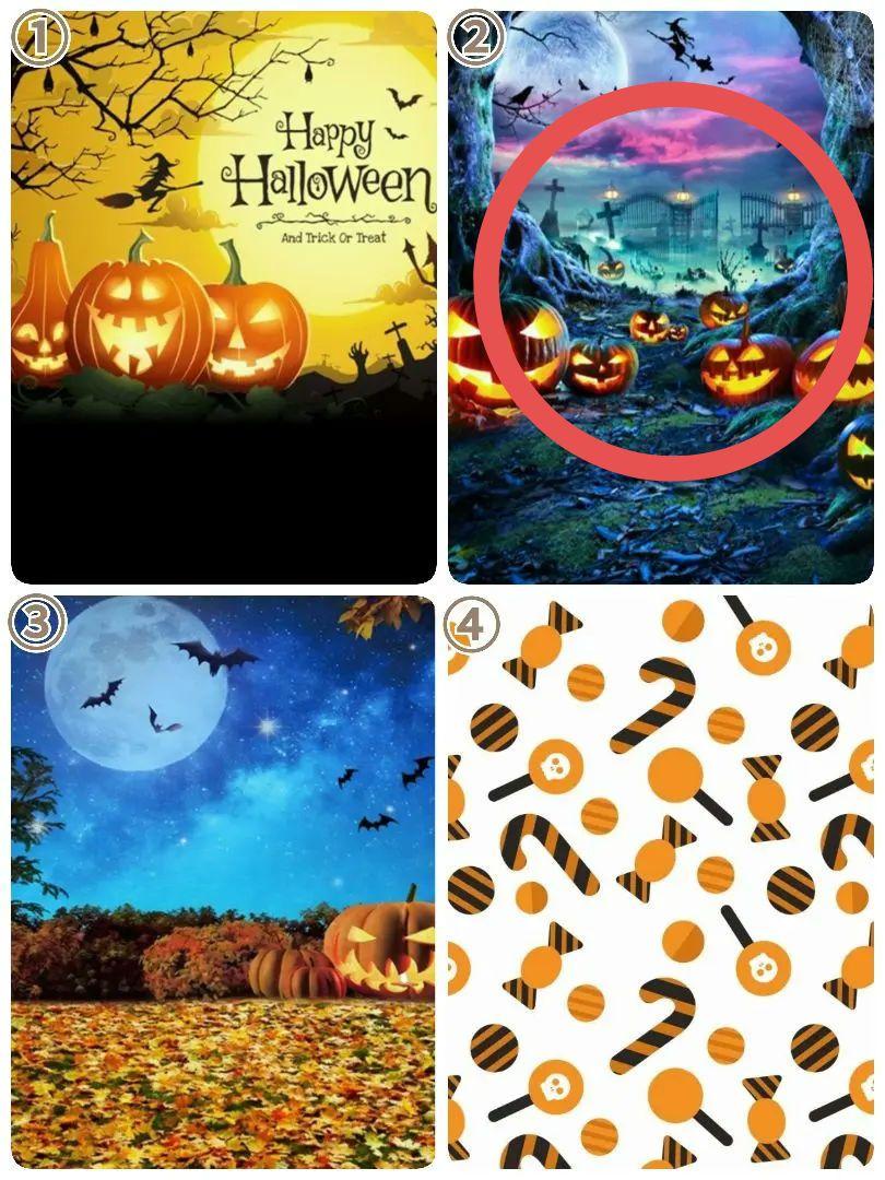 ハロウィン 背景布6枚+1 ペット撮影用フォトブース トリミング ハロウィン 背景布6枚+1 ペット撮影用フォトブース トリミング