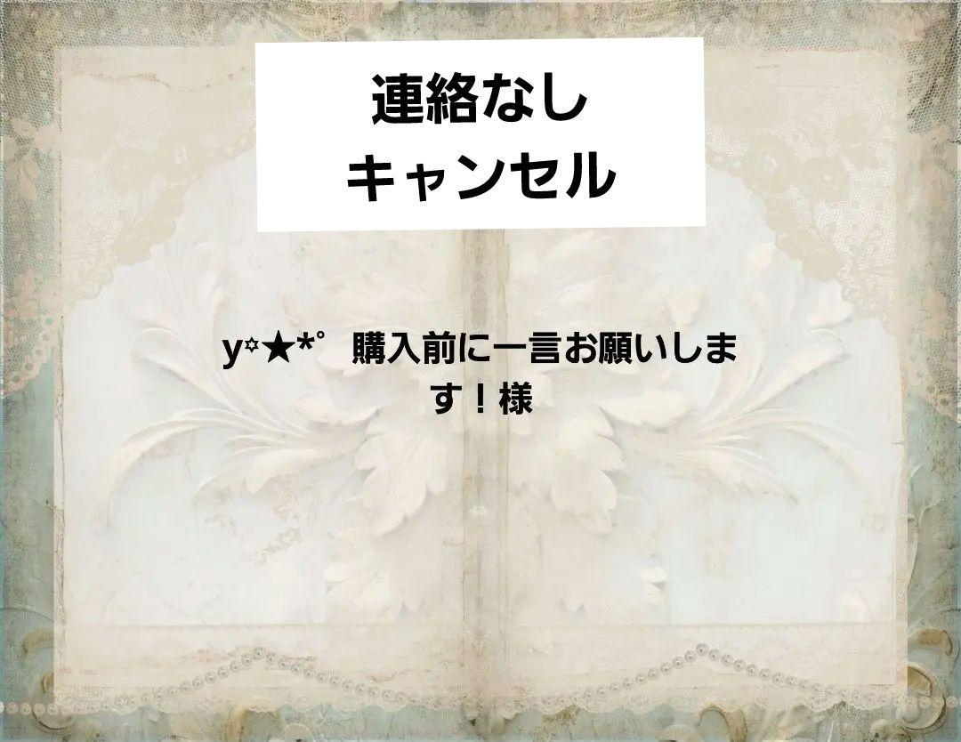 y꙳★*゜購入前に一言お願いします！様専用ページ