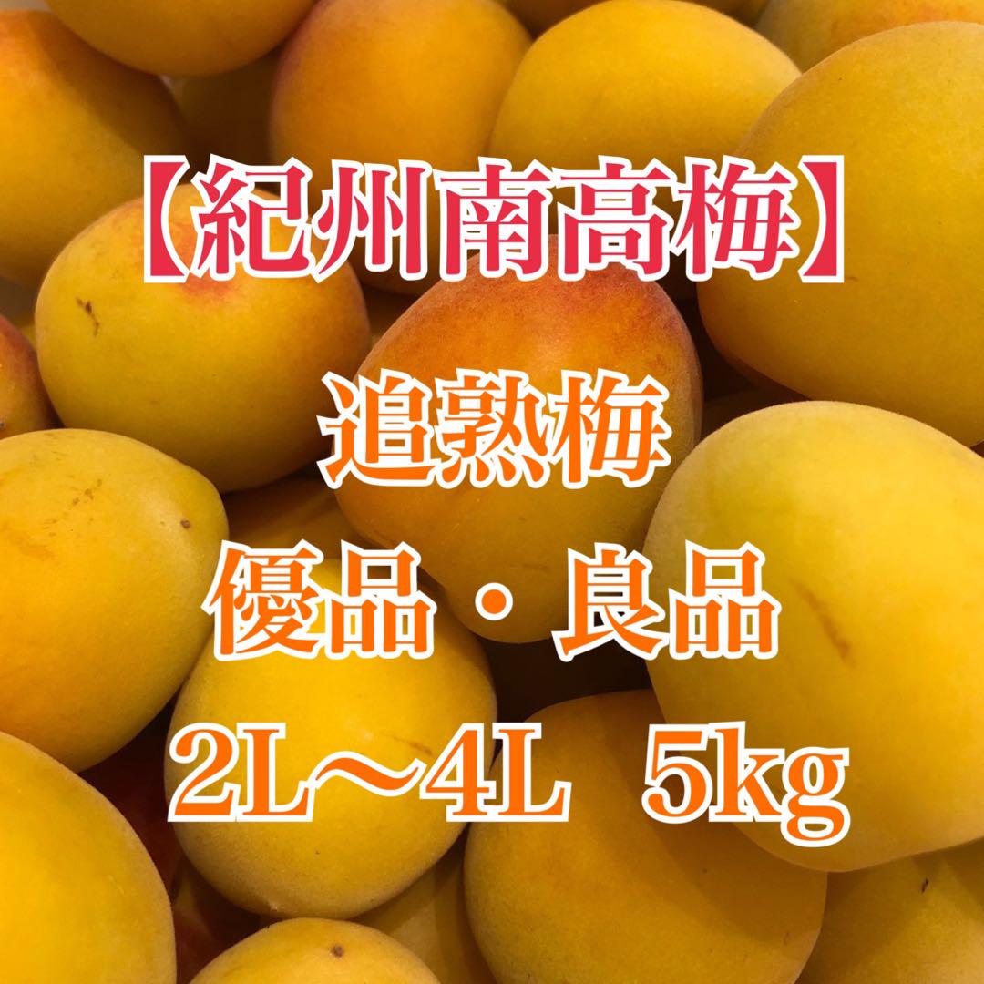 紀州南高梅　追熟梅　優品・良品　2L〜4L　5kg　送料込み 紀州南高梅 追熟梅 優品・良品 2L〜4L 5kg 送料込み - メルカリ