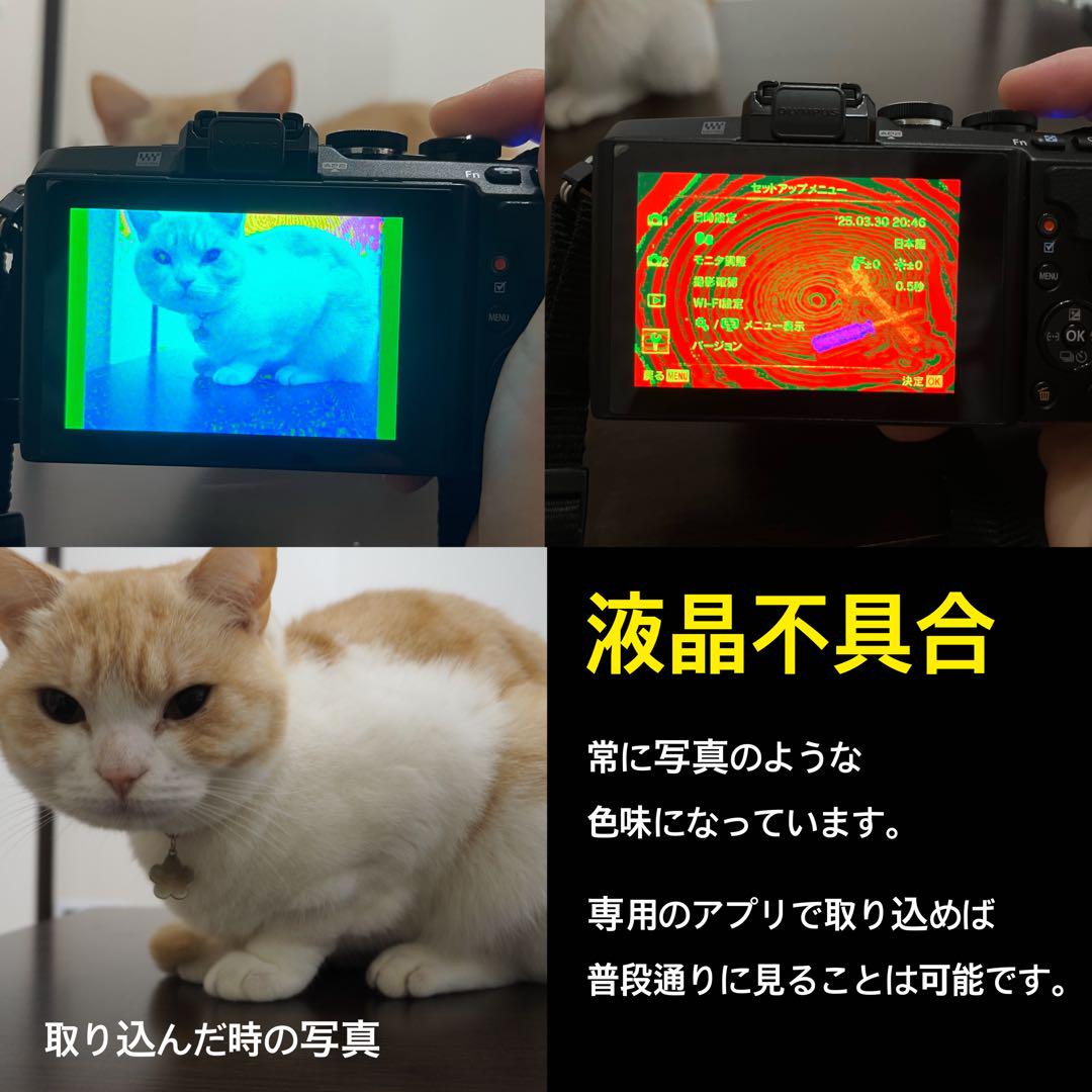 OLYMPUS PEN lite E-PL7 本体 ミラーレス一眼
