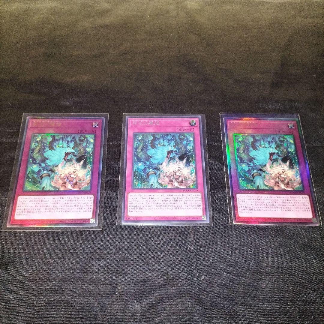 遊戯王　命王の螺旋　ドミナススパイラル　レリーフ　シークレットレアセット　美品