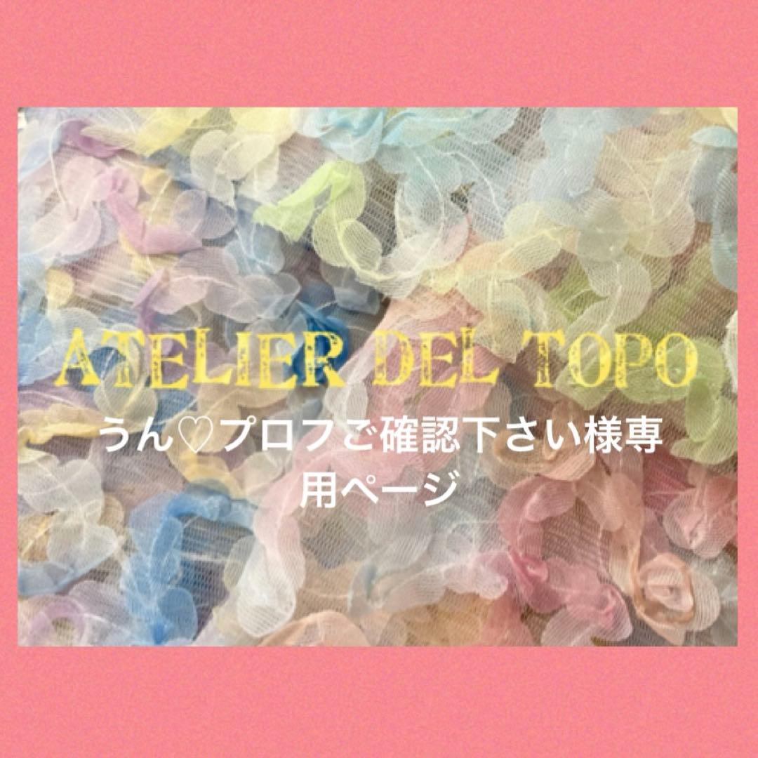 うん♡プロフご確認下さい様専用ページ