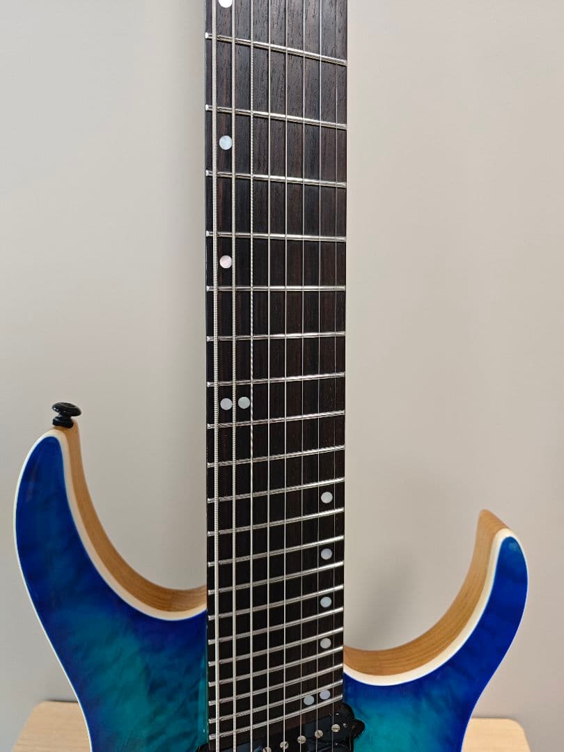 Ormsby hype GTR 8 8弦ギター目立った傷や汚れなし WWW_TRAVELLANDINDIA_COM