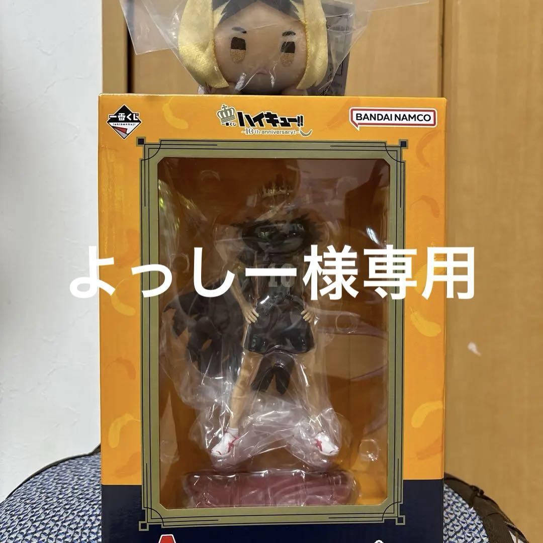 ハイキュー!! 日向翔陽 フィギュア 10周年 &ぬいぐるみ - メルカリ