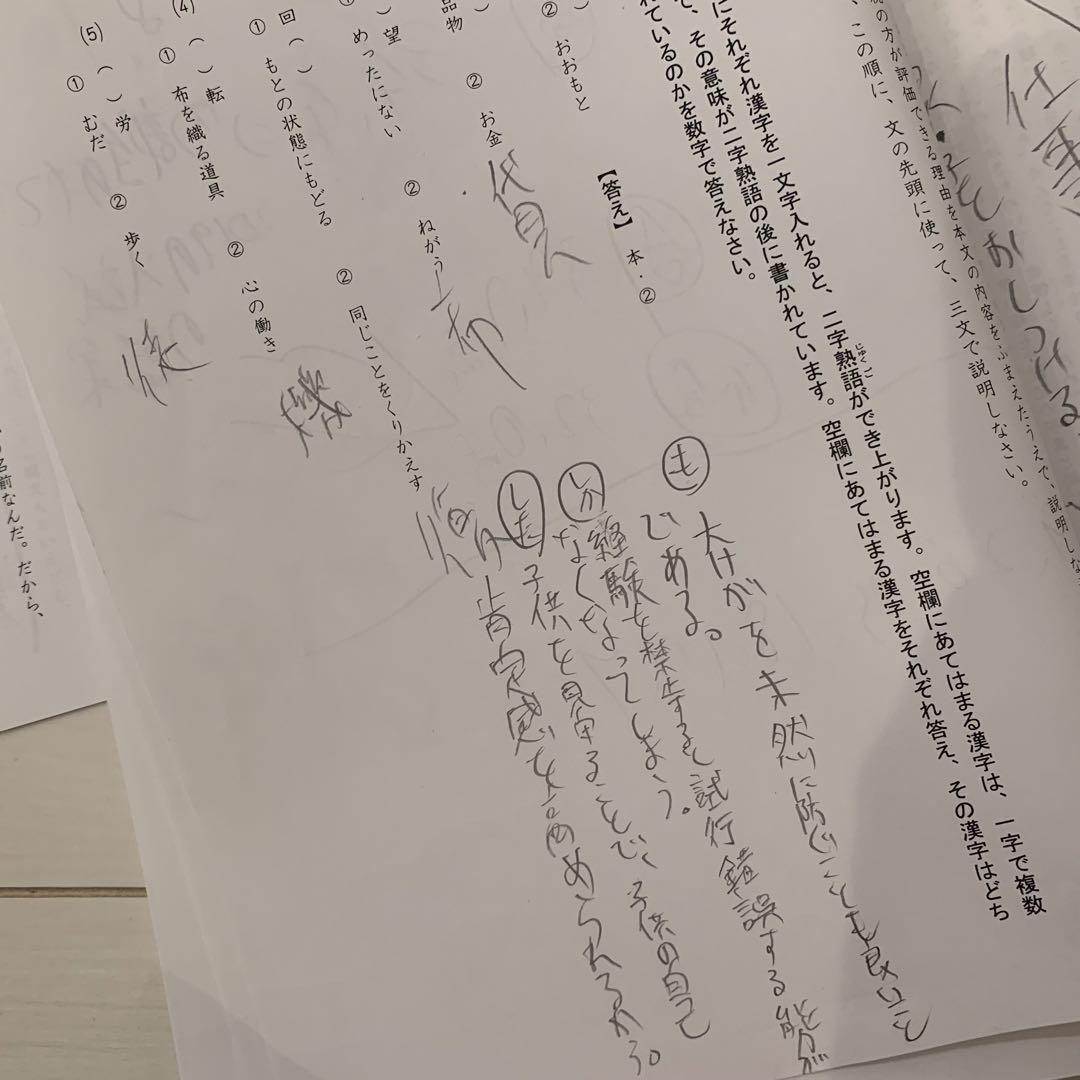 サピックス 6年 国語 開成対策プリント 計4種 22年終了組