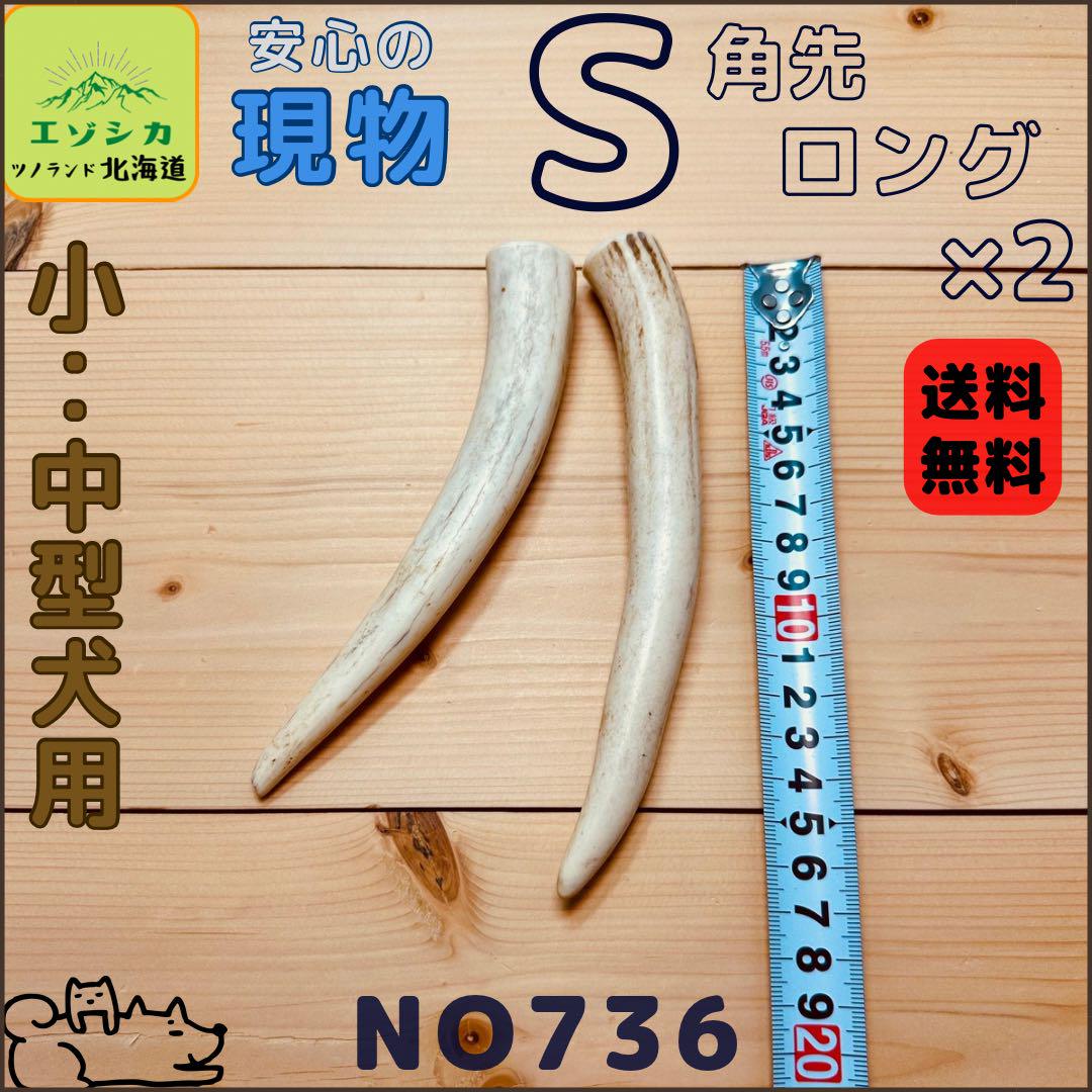 鹿の角　5本　まとめ売り 鹿の角5本まとめ売り