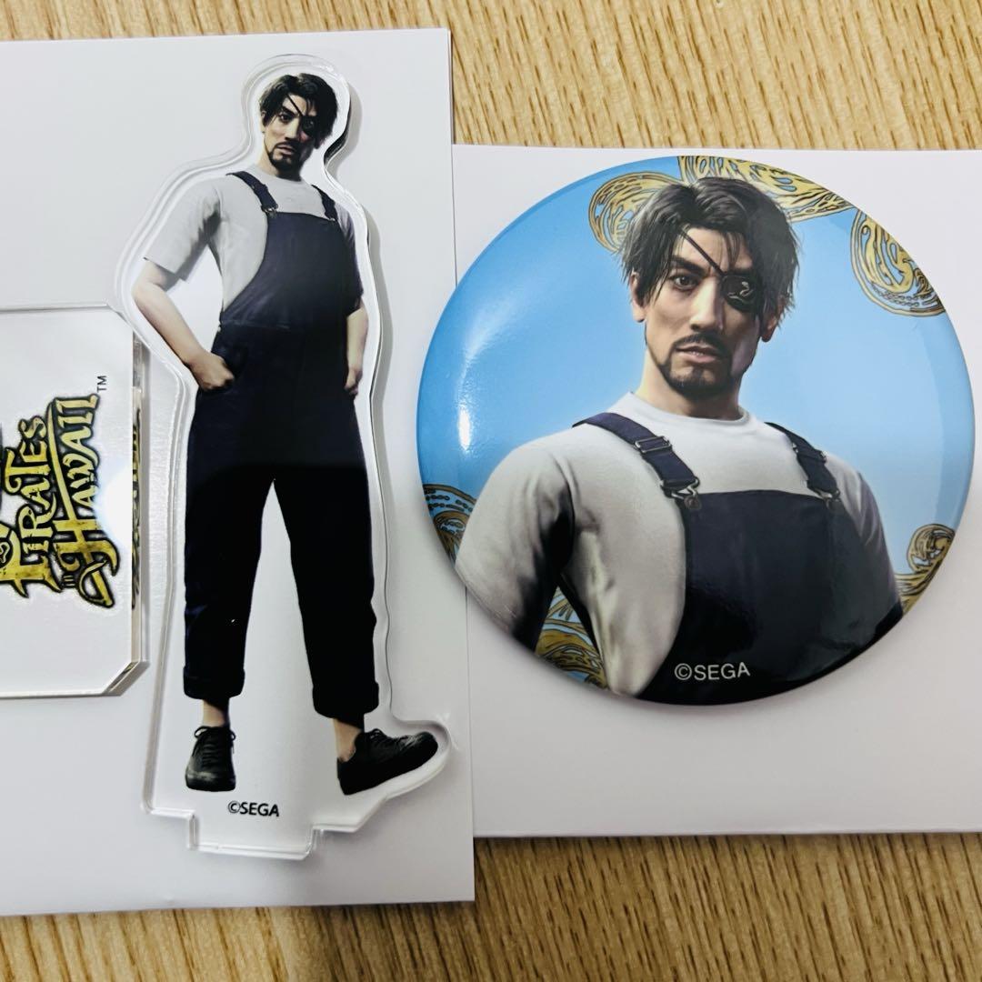 青龍】アクリル10号