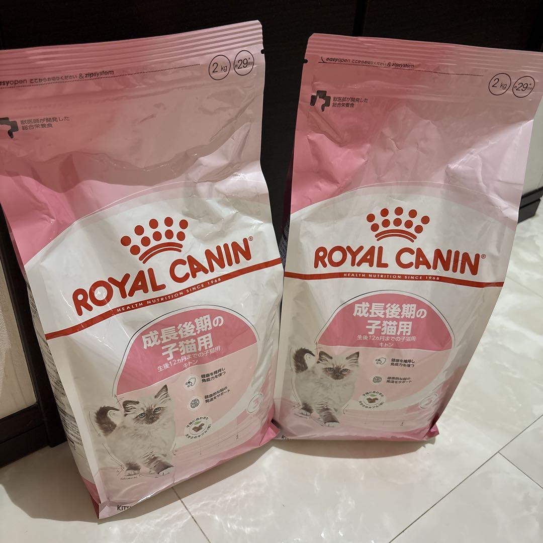新品 未開封 ロイヤルカナン 成長後期の子猫用 キトン 2kg 2袋