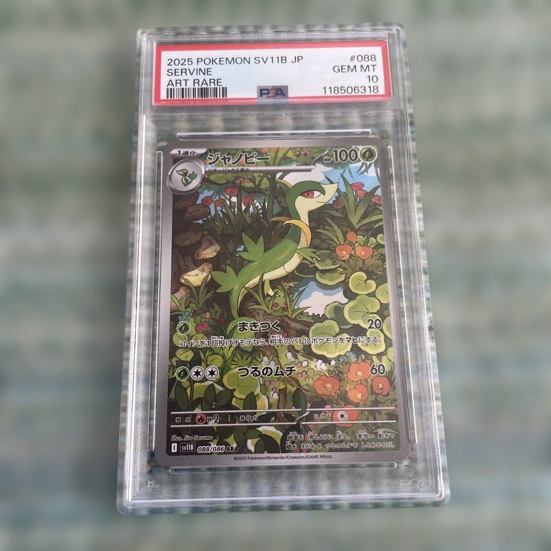 ジャノビー　AR PSA10