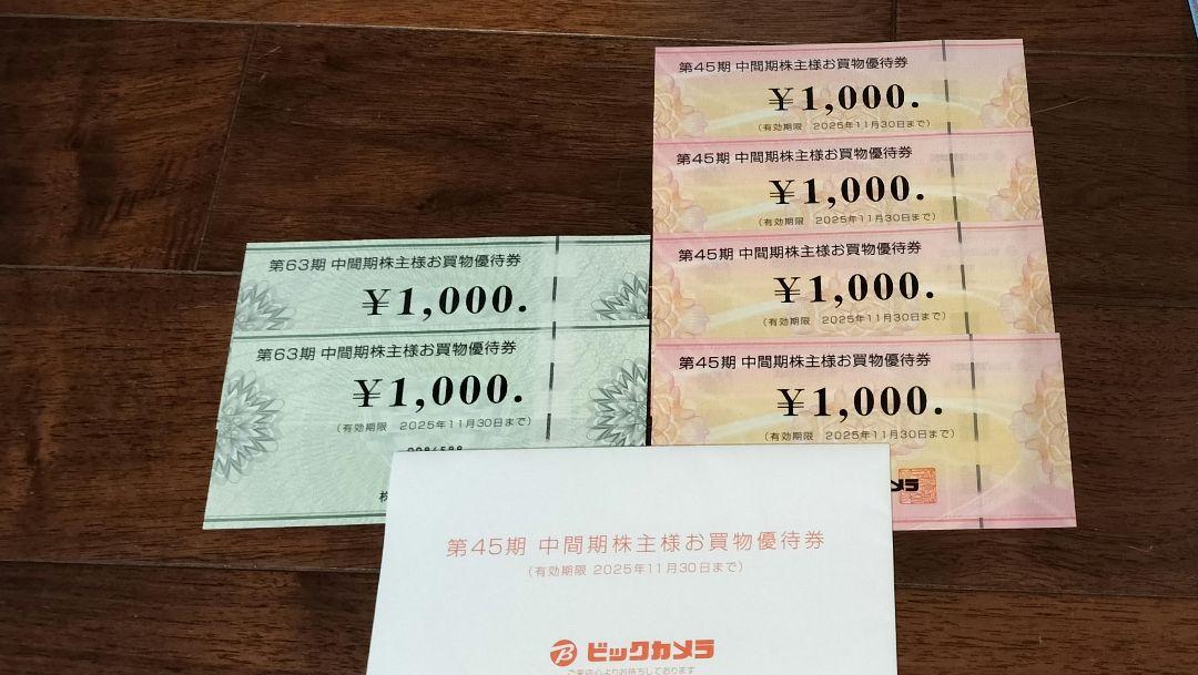 ビックカメラ コジマ 株主優待券 合計6000円分