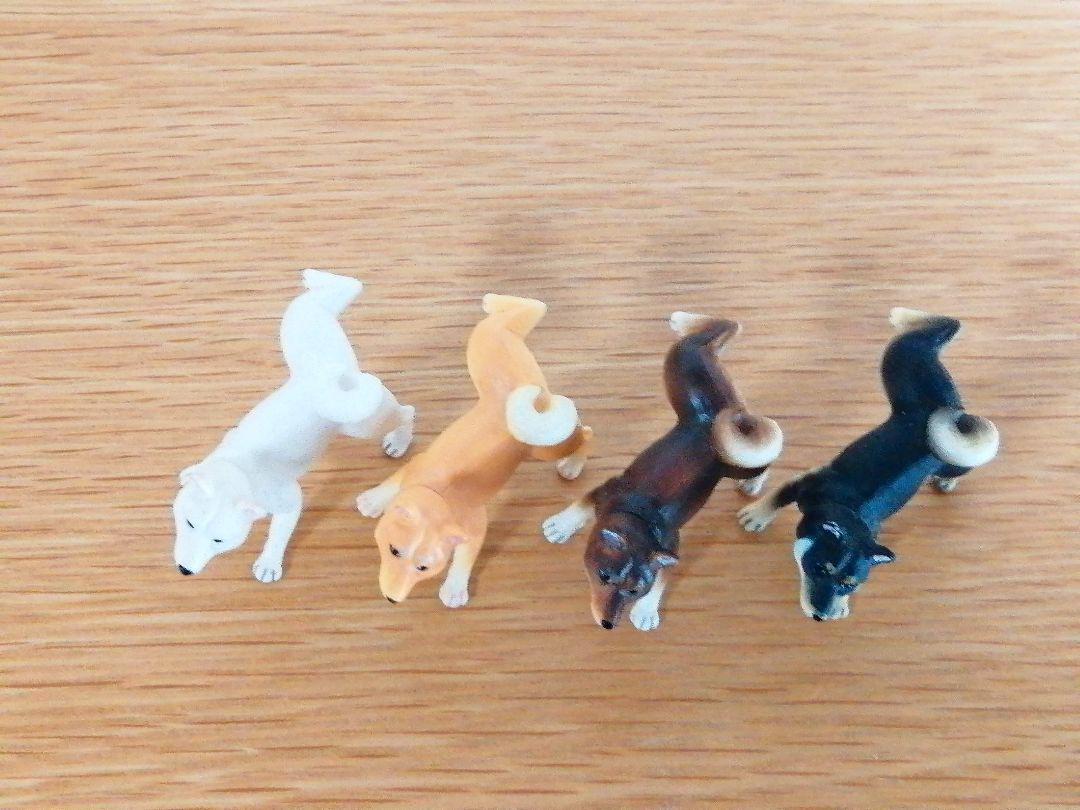 マーキング犬 柴犬 4匹 ＊シークレット含む - メルカリ