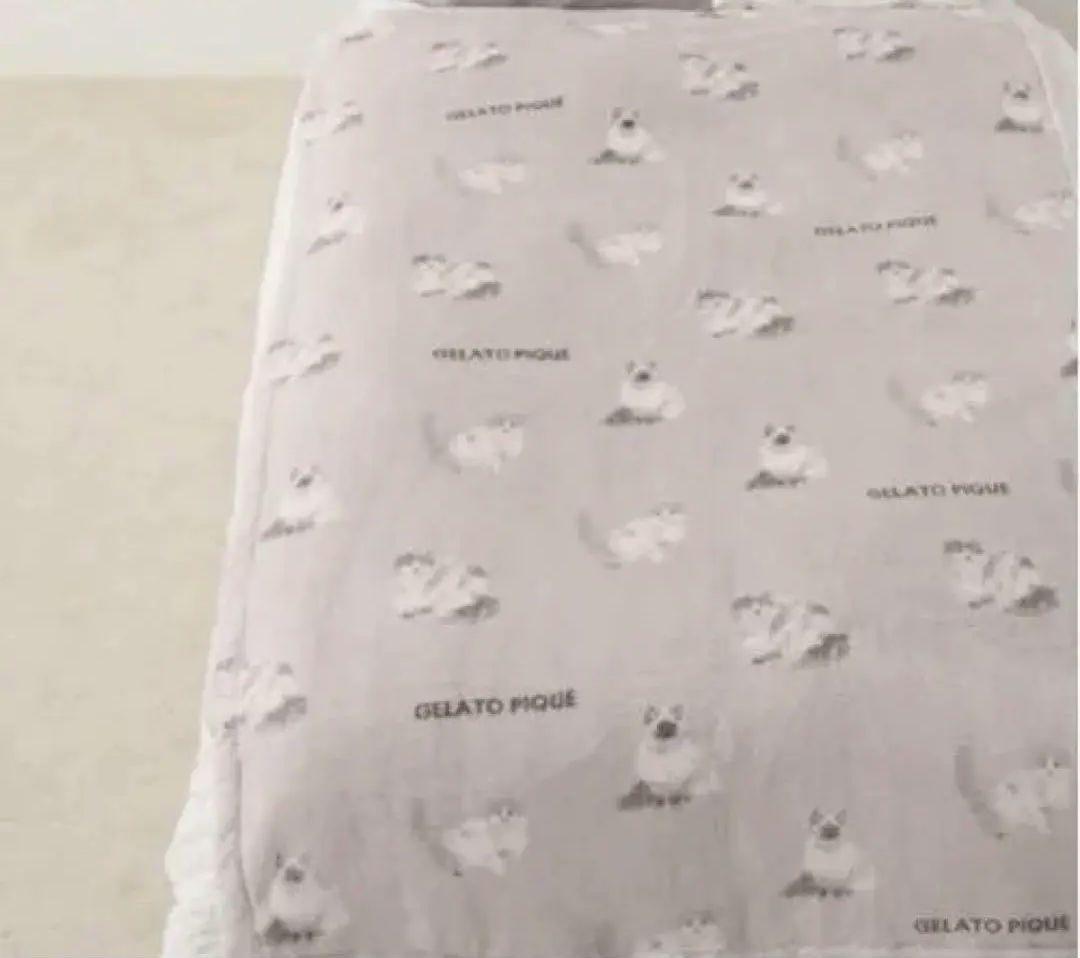 ジェラートピケ CATgelato