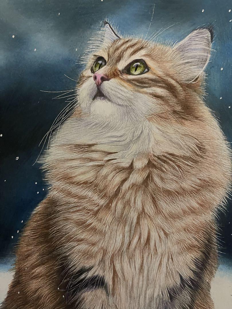 色鉛筆画 A4 雪空を見上げる猫ちゃん