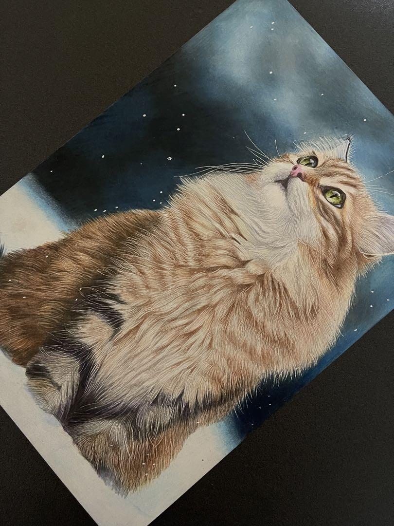 色鉛筆画 A4 雪空を見上げる猫ちゃん