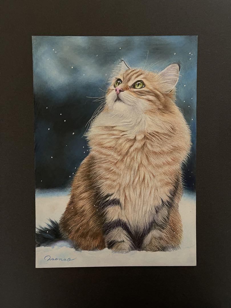 色鉛筆画 A4 雪空を見上げる猫ちゃん