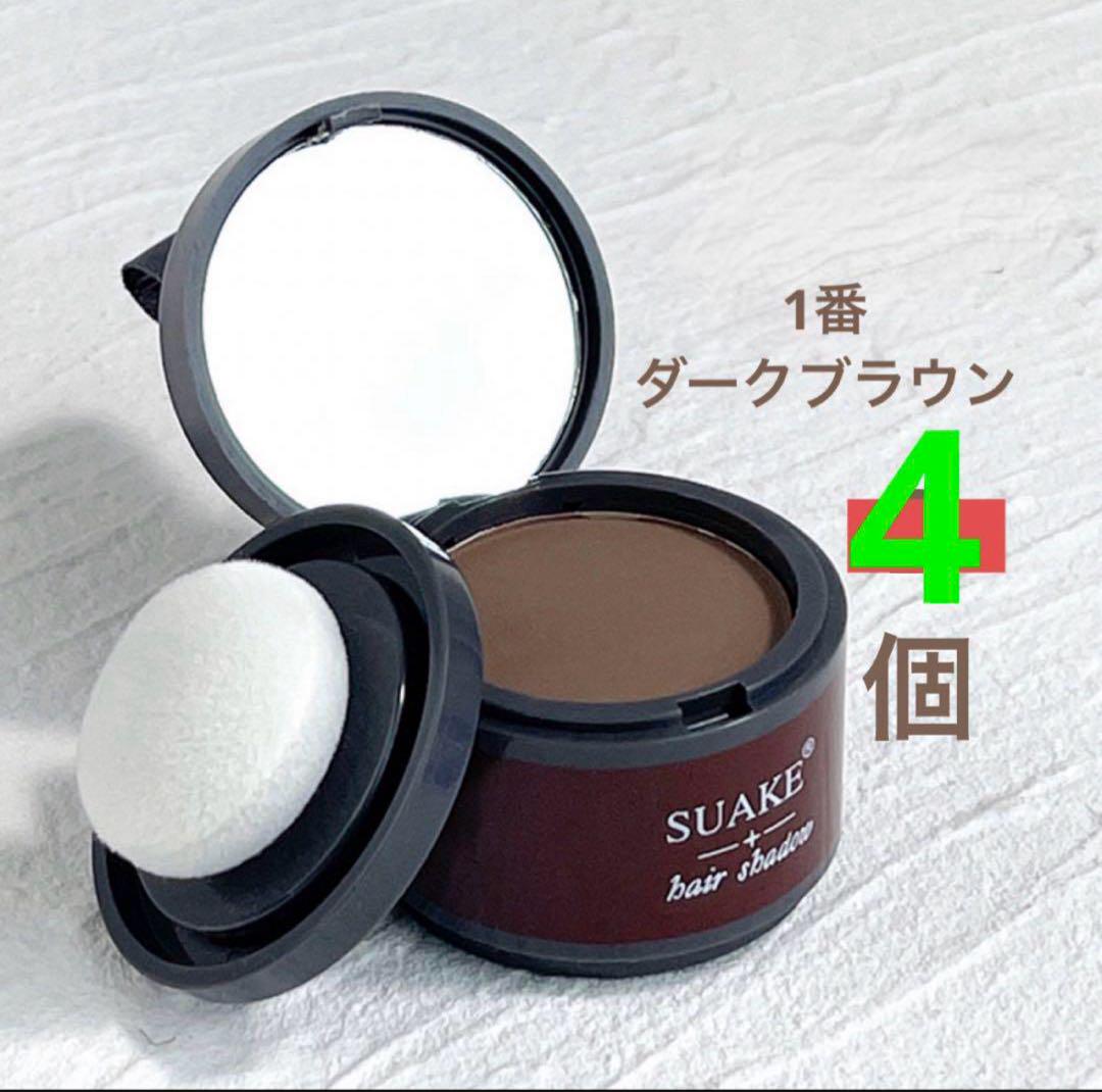 ヘアシャドウパウダー (ダークグレー20個)