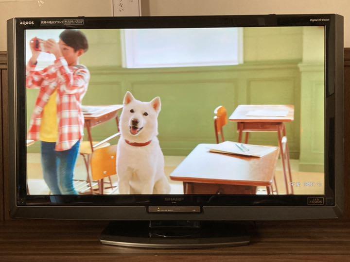 31%割引グレイ系,40~42インチお手頃価格 SHARP LED AQUOS LX LX1 LC 特売品 TOSHIBA 同梱できない場合、土台脚無し 42Z1 REGZA テレビ