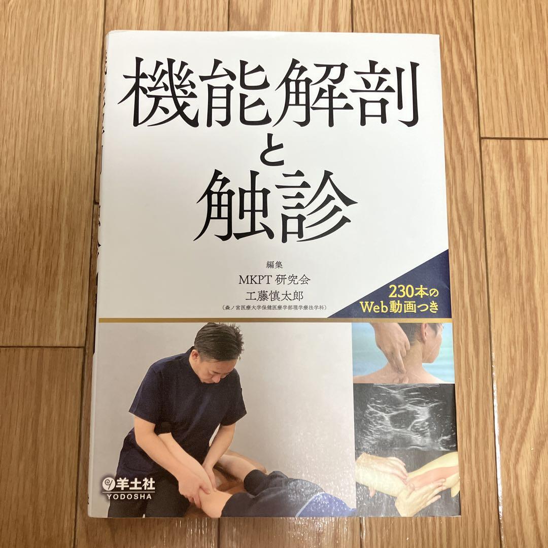 機能解剖と触診