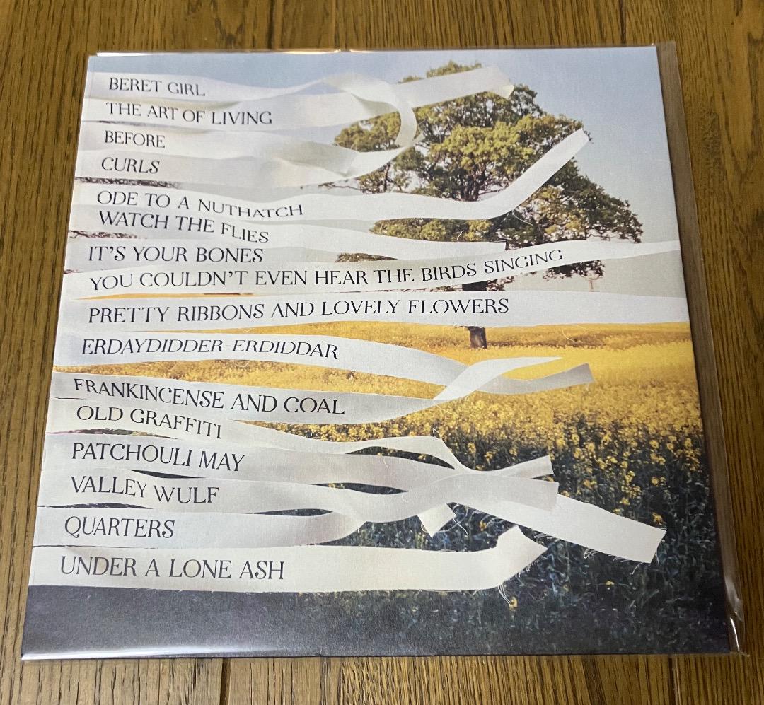 Bibio / Ribbons レコード 2LP - メルカリ